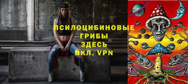бошки Кулебаки