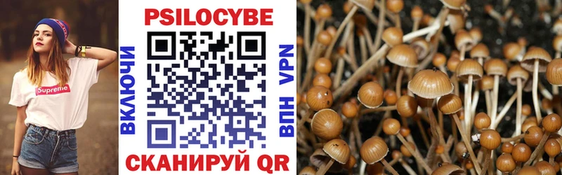 Галлюциногенные грибы Psilocybine cubensis  Кирс 